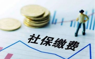 社保工作总结个人范文6篇