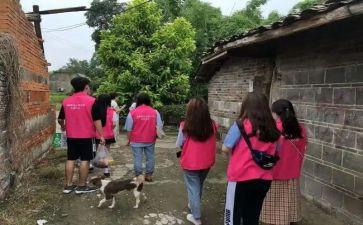 大学生社会实践报告模板参考6篇
