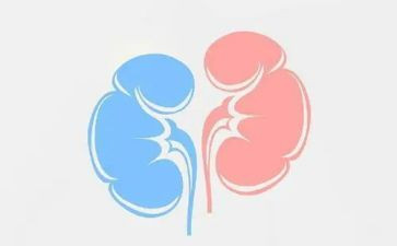 肾内科主任个人总结8篇