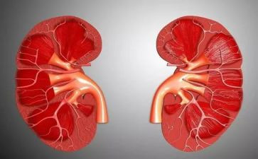 肾内科护士年度总结最新7篇