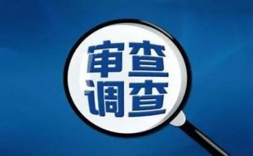 审查调查心得体会6篇