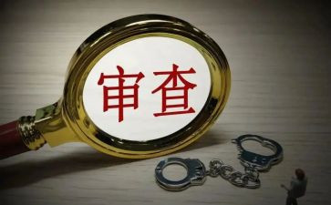 严审查工作总结6篇