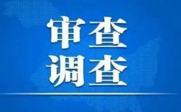 审查调查安全心得体会8篇