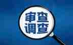 审查调查心得体会6篇