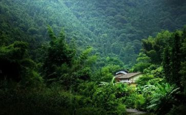 在我的记忆深处作文600字8篇