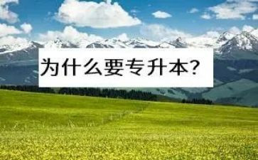 专升本写申请书模板5篇