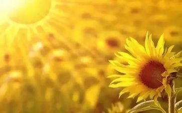 生活故事的作文5篇