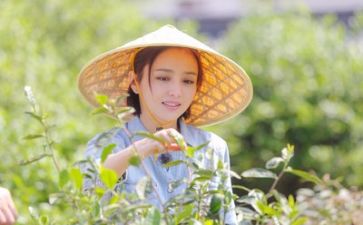 文化生活作文600字推荐8篇