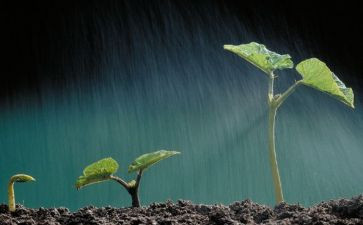 对生命教育的活动总结8篇