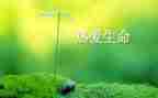 生命作文作文精选8篇