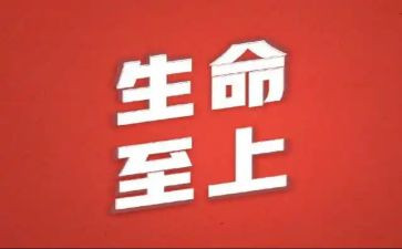 观看生命至上心得5篇