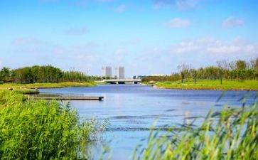 全国生态日活动总结6篇