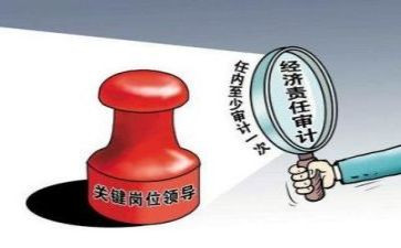 审计室工作总结最新8篇