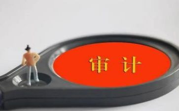 审计个人工作总结2023最新6篇