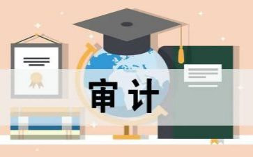 审计2023工作总结精选5篇