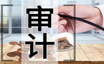 公司审计工作总结优秀7篇