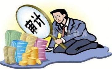 2023审计局工作总结模板5篇