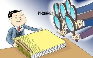 当审计员心得体会范文8篇
