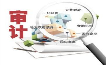 公司审计工作总结8篇
