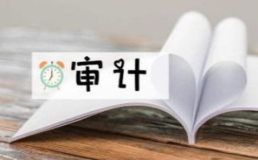 2023审计所工作计划模板8篇