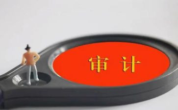 审计报告的调查报告8篇
