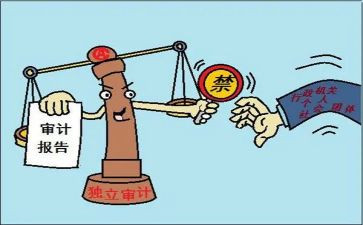 干审计工作总结推荐7篇