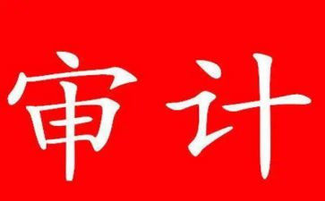 审计局工作总结报告6篇