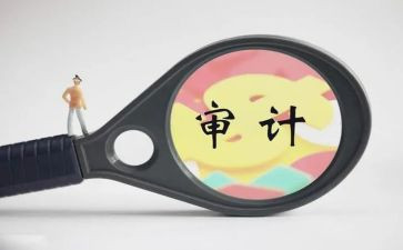 审计工作总结个人总结推荐5篇