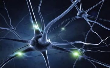 神经外科护士的个人总结5篇