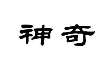 神奇的伞作文优秀7篇