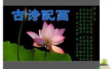 水浒传的诗读后感800字最新5篇