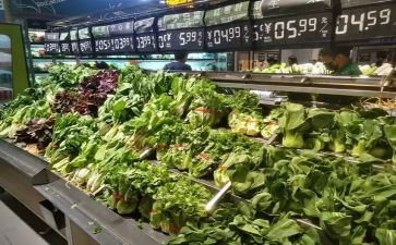黑茶的市场调查报告推荐7篇