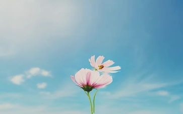 近十年工作总结7篇