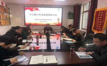 市全会精神心得体会5篇