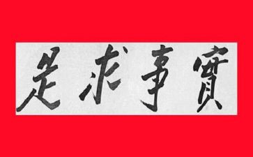 为民实事工作总结8篇