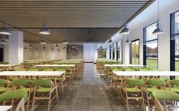 食堂的调查报告模板8篇