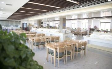 食堂工作的工作总结模板5篇