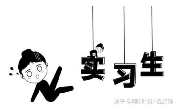 实习报告工作总结模板8篇