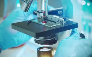 做实验的作文优秀作文推荐8篇