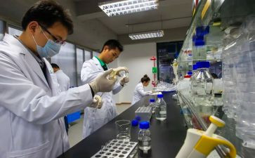 试验工作计划7篇