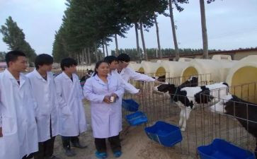 兽医师年度工作总结优质8篇