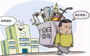 双减心得体会最新5篇