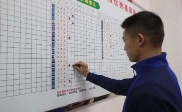 2024双争活动心得体会6篇