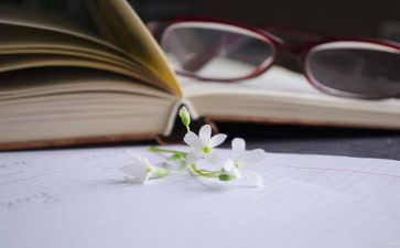 读与写作文600字优秀7篇