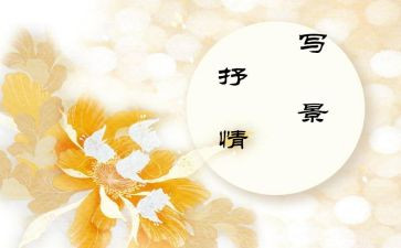 抒情作文800字优质8篇
