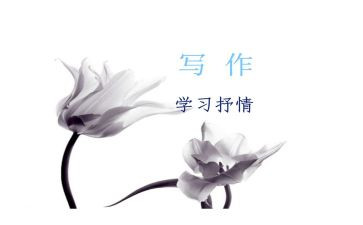 抒情作文600字6篇