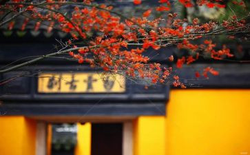 驻寺民警工作总结8篇