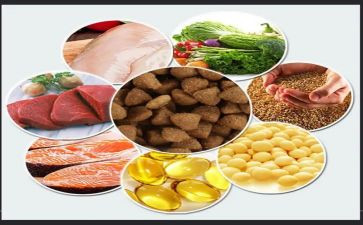 饲料2023工作总结5篇