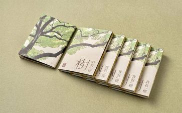 四史的心得体会推荐6篇