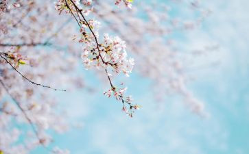 幼儿四月总结6篇